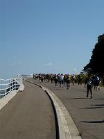 131012027-v200.jpg