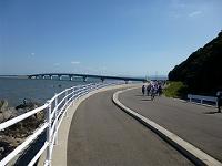 131012029-w200.jpg