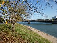 131012039-w200.jpg