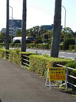 131013043-v200.jpg
